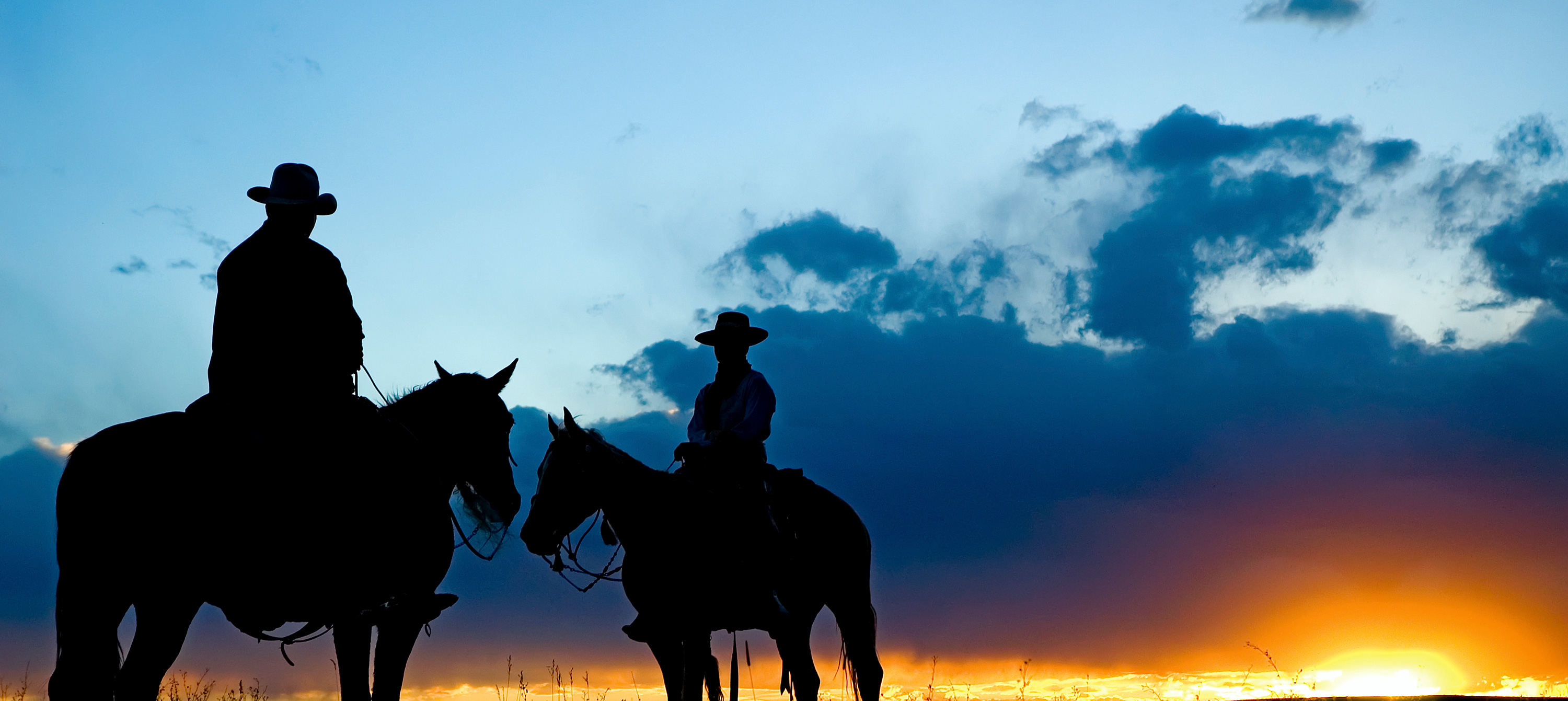 Got country. Ковбой в небе. Ранчо ковбой белая скала. Saddle Finance. Ковбои на заре, туман. Скорость объездка. Цветные фото.